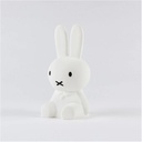 Miffy, Bundle of Light