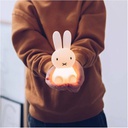 Miffy, Bundle of Light
