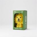 Lion, Bundle of Light