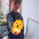 Lion, Bundle of Light