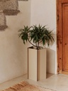 Fragma Planter