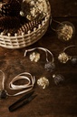 Flora Ornaments, L