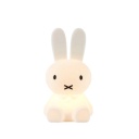 Miffy First Light