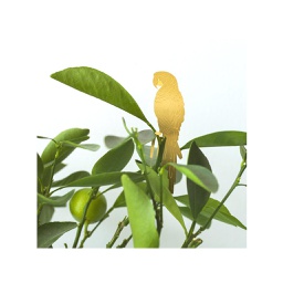 [GLAN01600] Plant Animal, Parrot