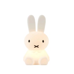 [KDMR00101] Miffy First Light