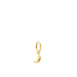 [FHNN00900] Single Luna Ring Earring